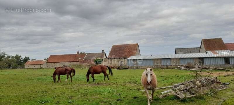 Maison à LURCY-LEVIS