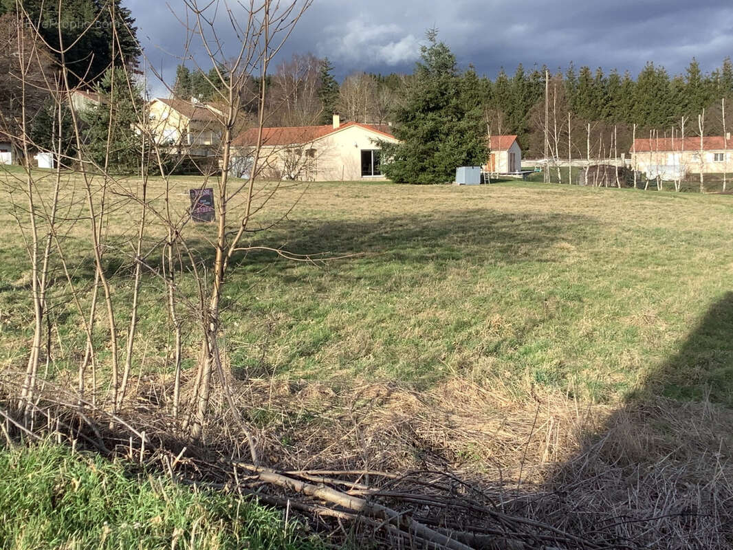 Terrain à RAUCOULES