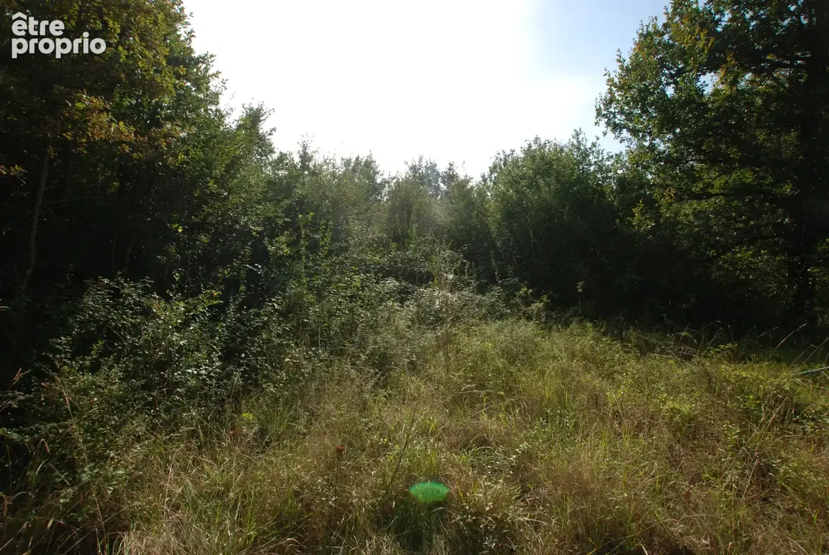 SOUILLAC 46200 : terrain (4 476 m2) à vendre - photo 2