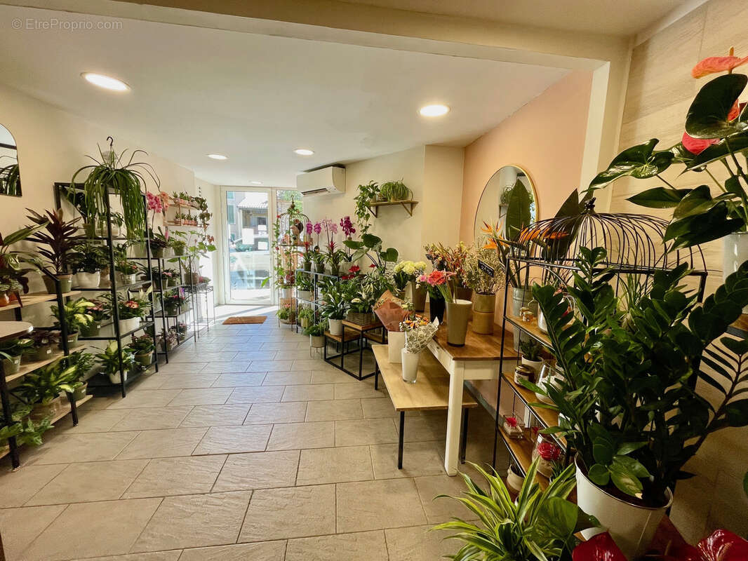 Commerce à VAISON-LA-ROMAINE