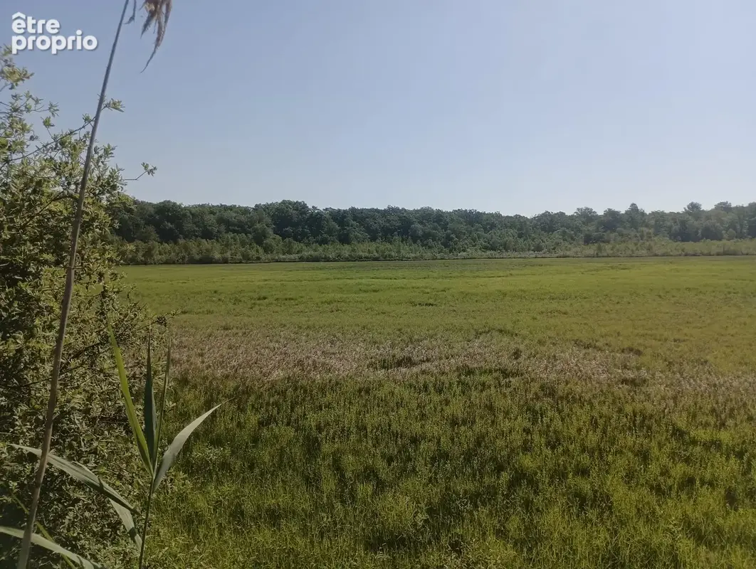Vente étang de 11 ha environ sur terrain de 14 ha environ AILLONCOURT (70) - photo 2