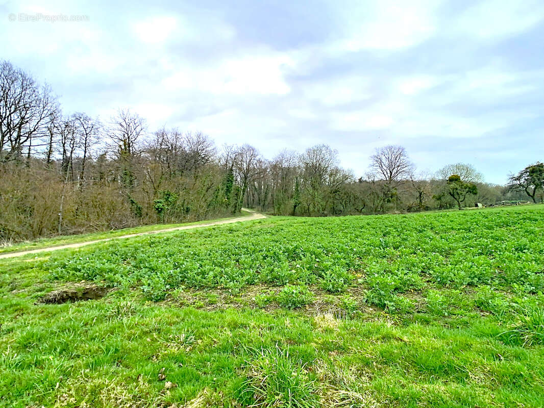 Terrain à FROIDEFONTAINE