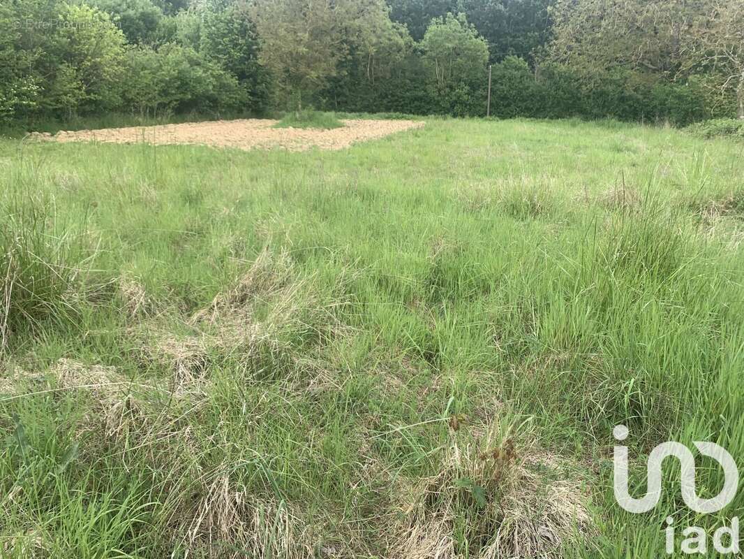 Photo 2 - Terrain à BAUDRES