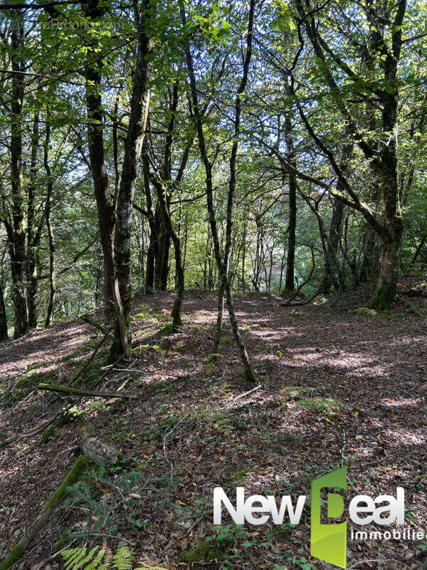 Maison à ARNAC-POMPADOUR