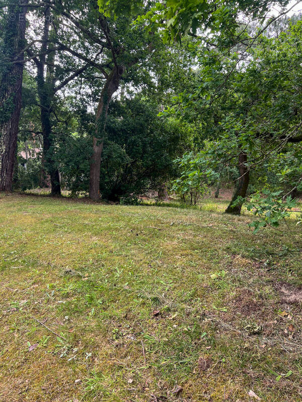 Terrain à ARCACHON