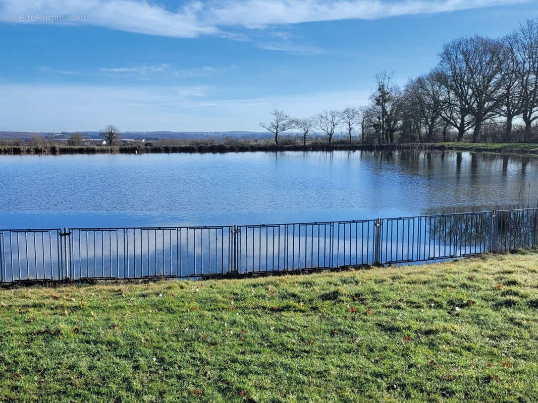 Terrain à SAINT-ANDRE-DE-LA-MARCHE