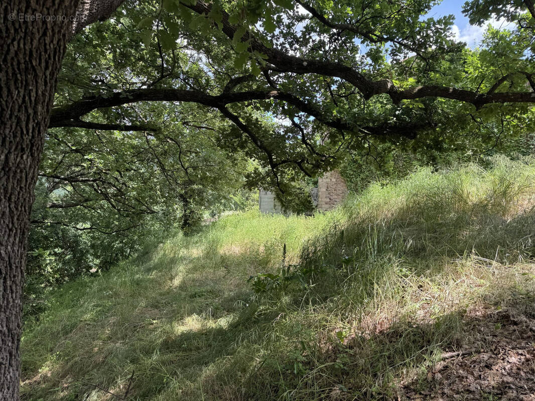 Terrain à LES MAYONS