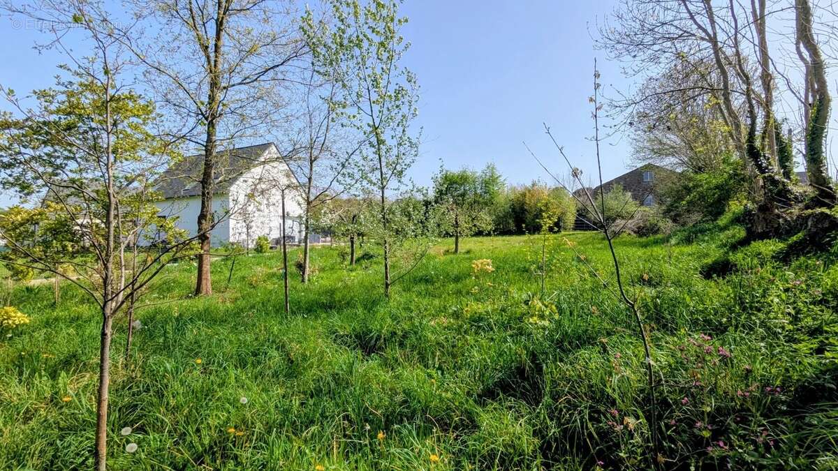 Terrain à PLOMODIERN