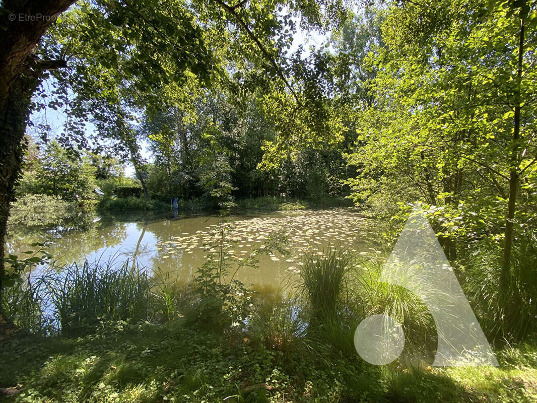 A vendre etang gilocourt 3 040m² - photo 2