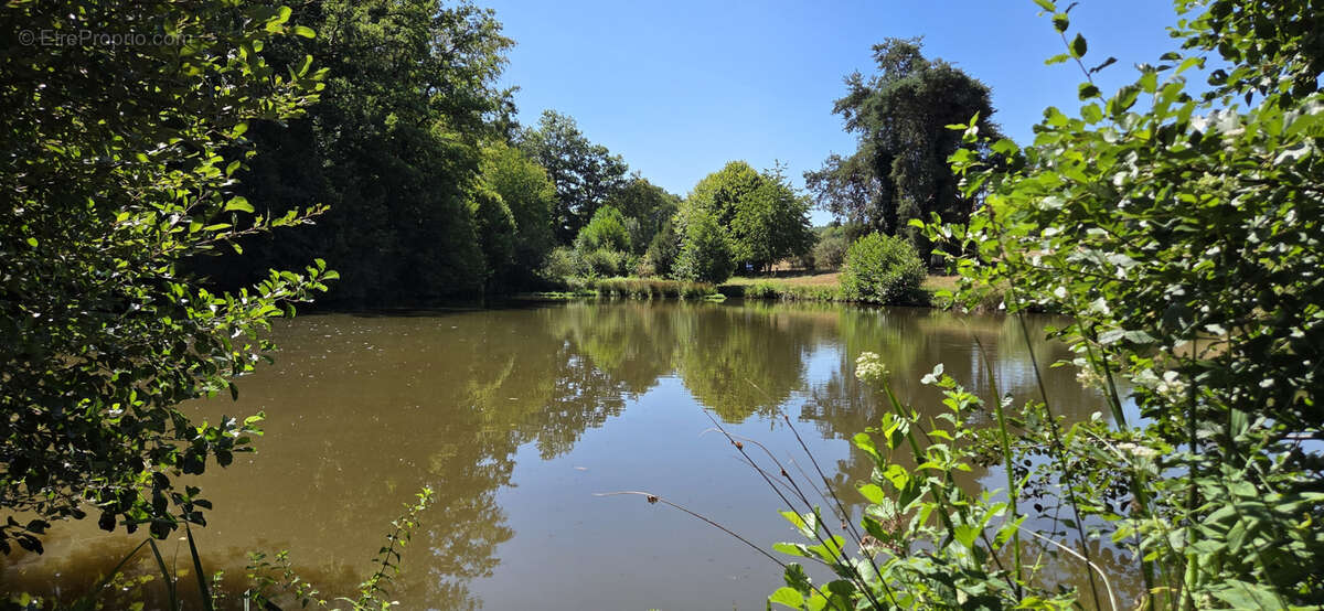 Moins de 20 minutes de LIMOGES - photo 3
