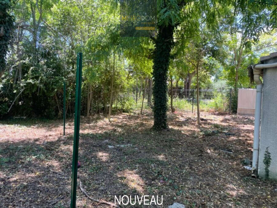 Maison à SAINT-ANDRE-DE-SANGONIS