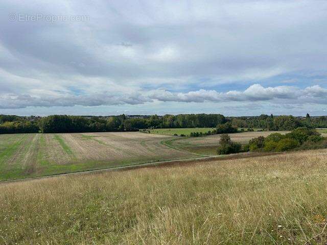 Autre à SAINT-GEORGES-LES-BAILLARGEAUX