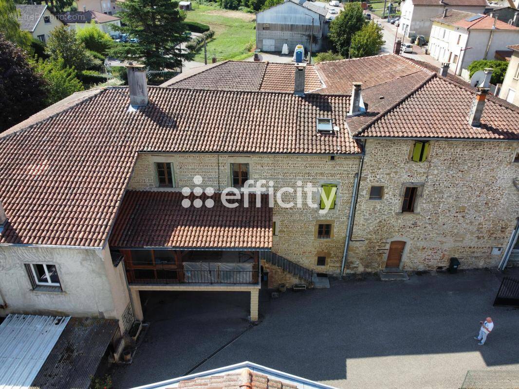 Appartement 302 m² à Cour-Et-Buis  - photo 1
