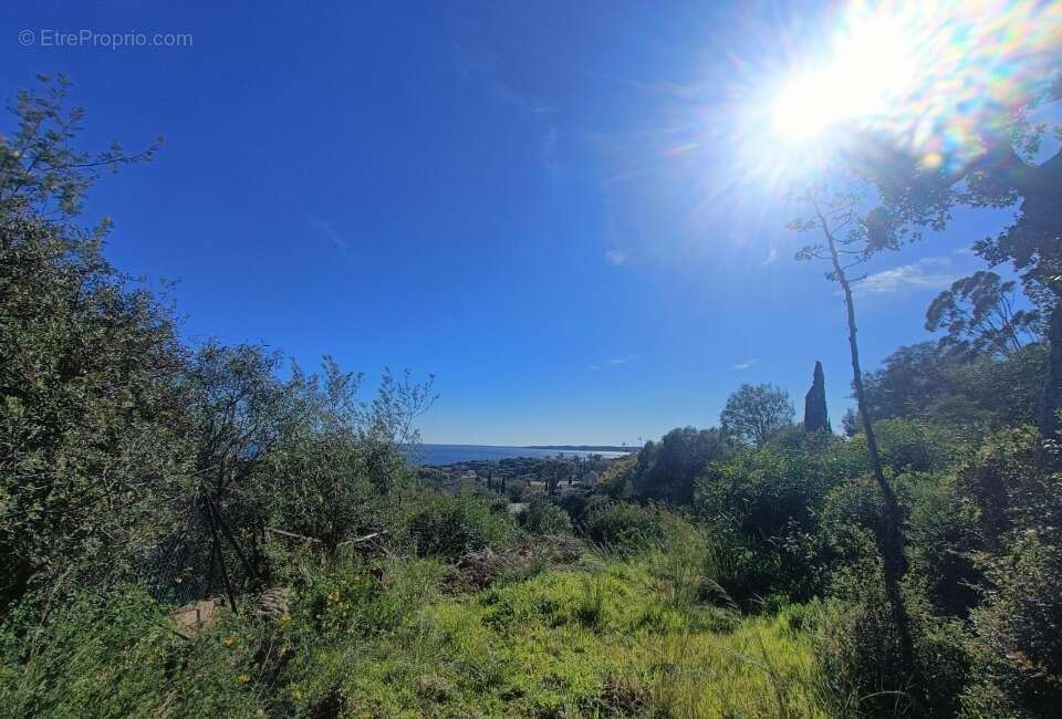 Terrain à LES ISSAMBRES