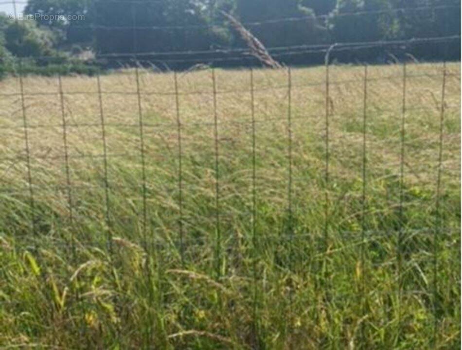 Photo 1 - Terrain à FRANLEU