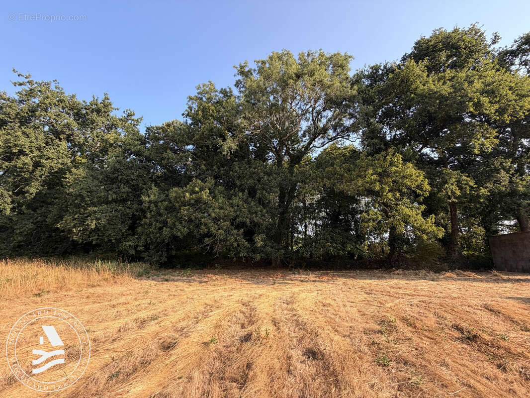 Terrain constructible - Bourg de Crach - photo 2