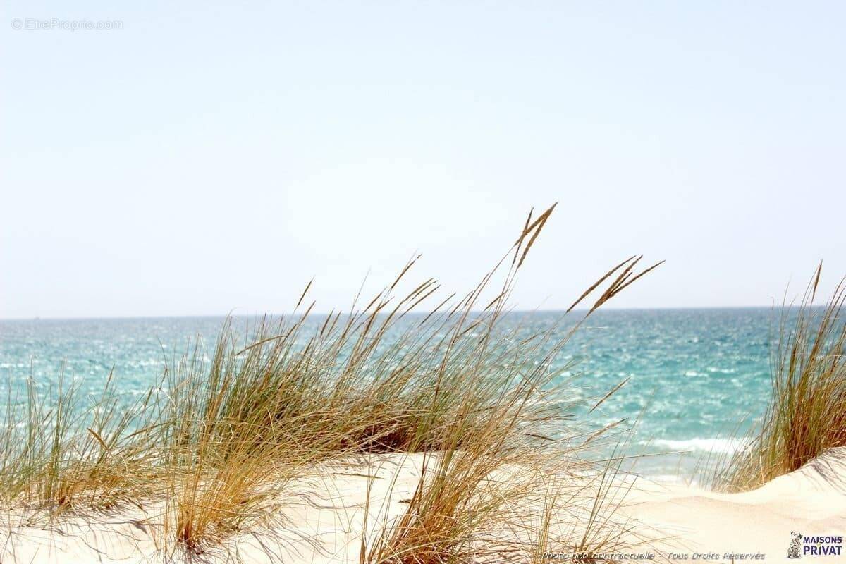 Terrain à LA BARRE-DE-MONTS