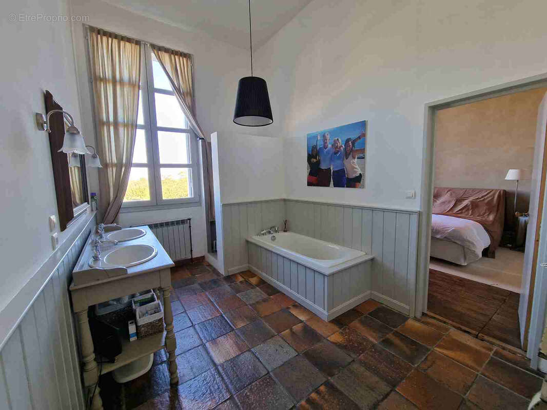 Batisse en pierre de style Directoire avec vignes et piscine - photo 16