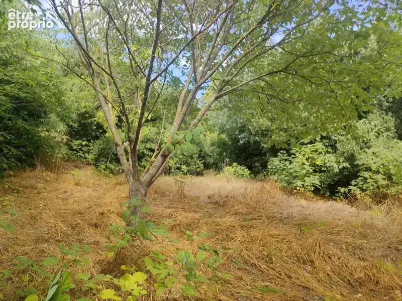 Terrain 1 527 m² à vendre à Nages-Et-Solorgues (30114) - photo 3