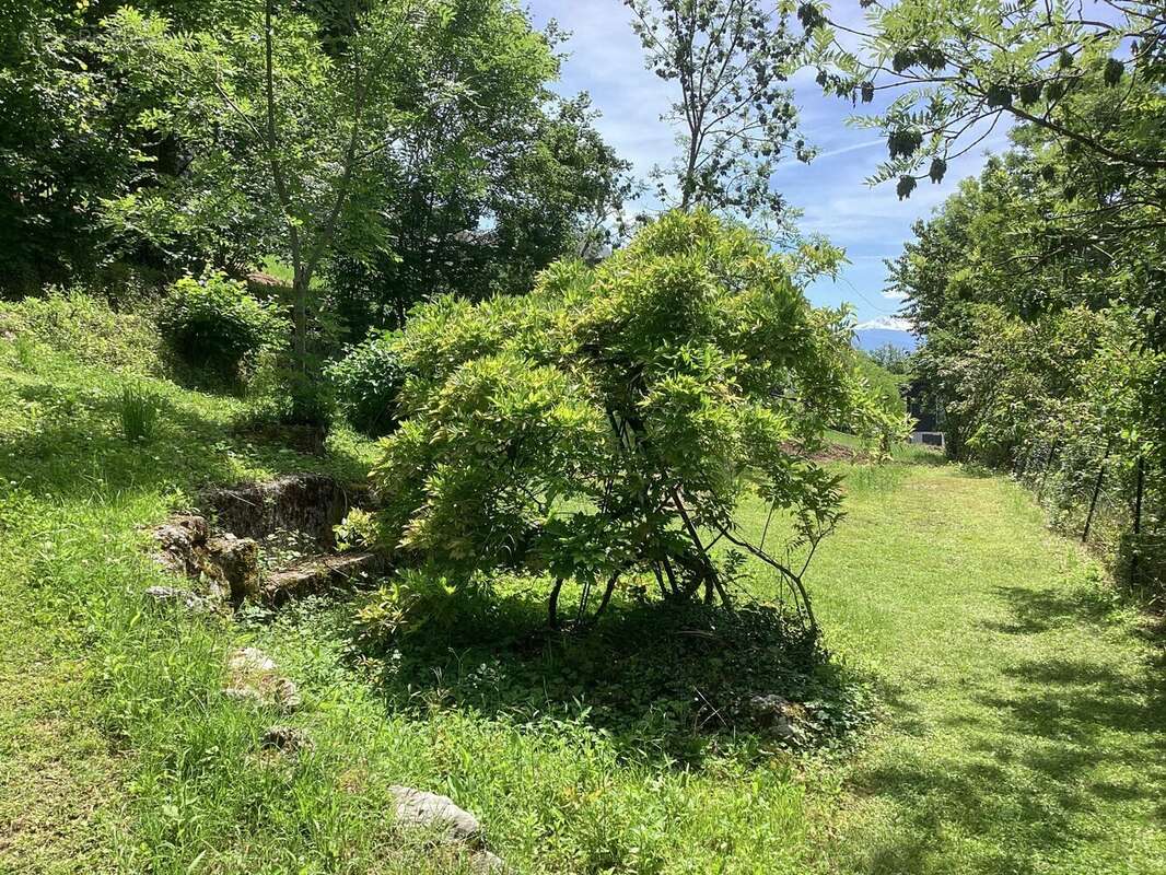Terrain à SAINT-JEOIRE-PRIEURE
