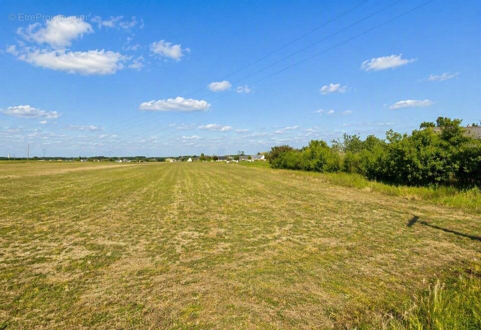 Terrain 737 m² à Artannes-Sur-Indre  - photo 1