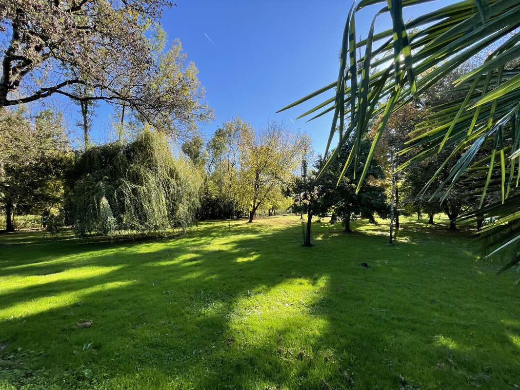 Maison à SAINT-LAURENT-DE-COGNAC