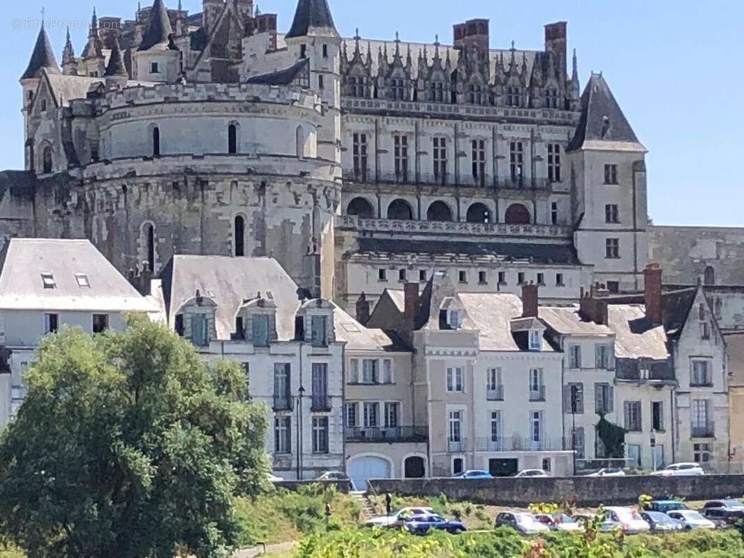 Maison 256 m² à Amboise  - photo 4