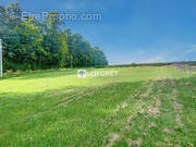 Terrain à HERICOURT-EN-CAUX