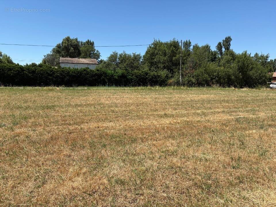 Terrain 900 m² à Lescout  - photo 1