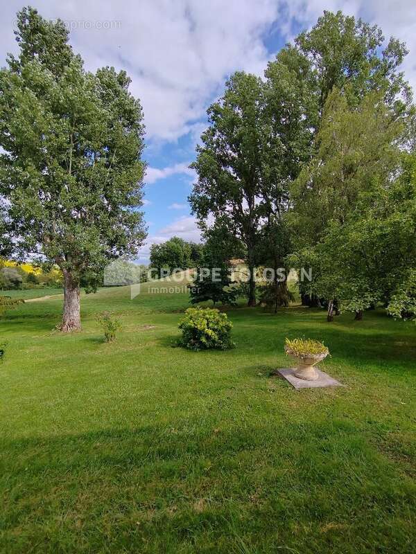 Maison 208 m² à Caraman  - photo 12