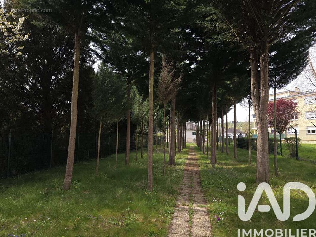 Photo 5 - Maison à VILLENEUVE-SUR-YONNE