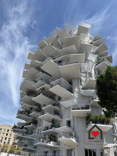Appartement à MONTPELLIER