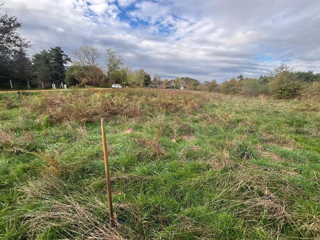 Photo 2 - Terrain à SORE