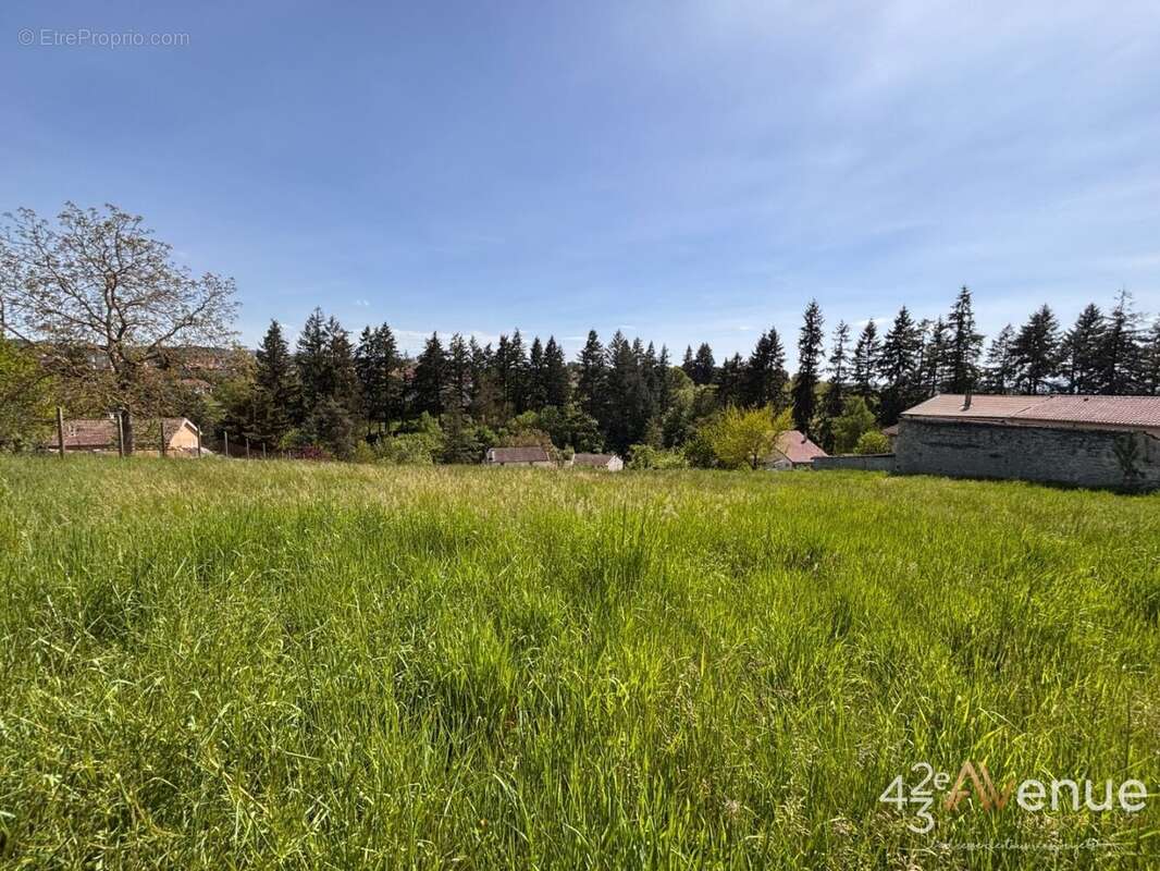 Terrain à MONISTROL-SUR-LOIRE