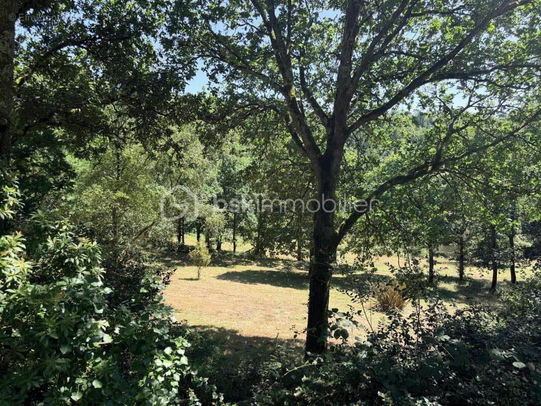 EXCLUSIVITE- NOUVEAUTE-Demeure de charme en pierre au cœur d'un domaine d'exception de 6 hectares! - photo 16