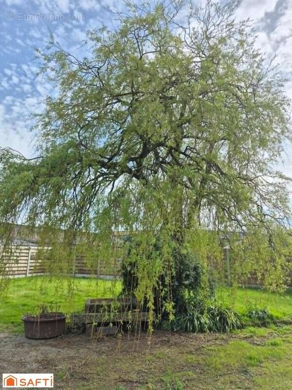 Photo 2 - Maison à PLOUVORN