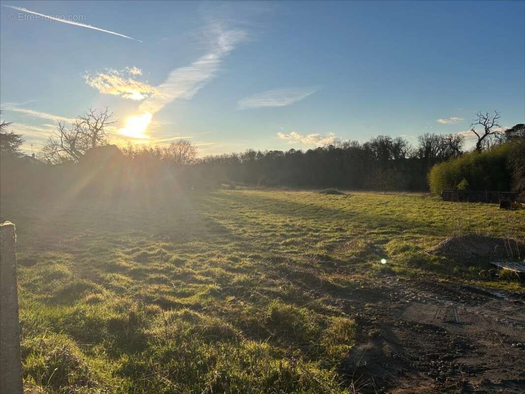 Terrain à LA CHAPELLE-MOULIERE