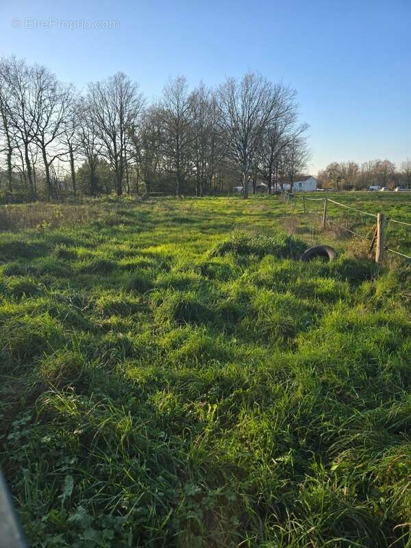 Maison à LANDERONDE