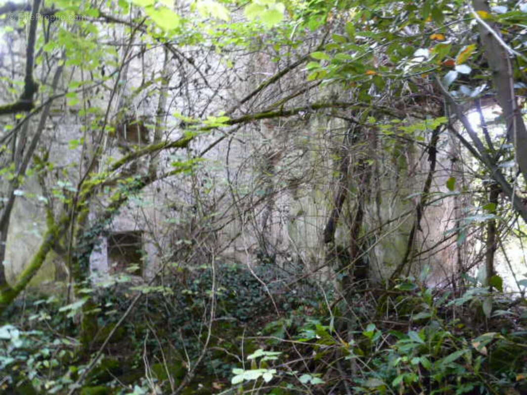 Ancienne Maison de Maître terre et bois 6 Ha - photo 24