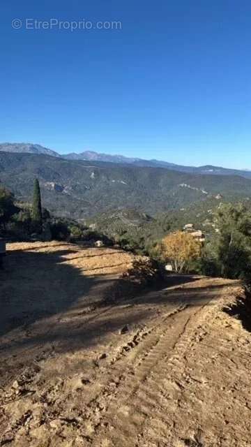 Terrain à SARI-SOLENZARA