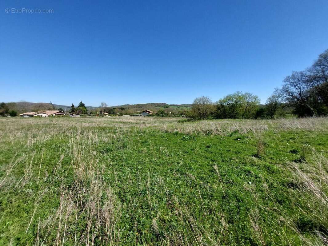 20260408154322 - Terrain à SAINT-MARTORY