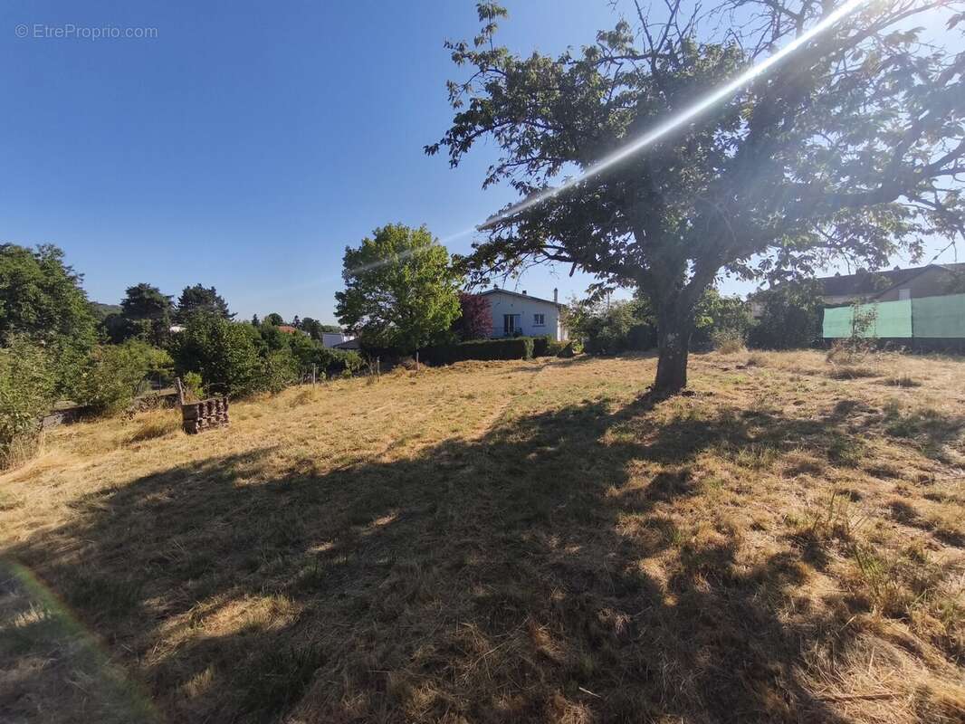 Maison 155 m² à Dieulouard  - photo 9