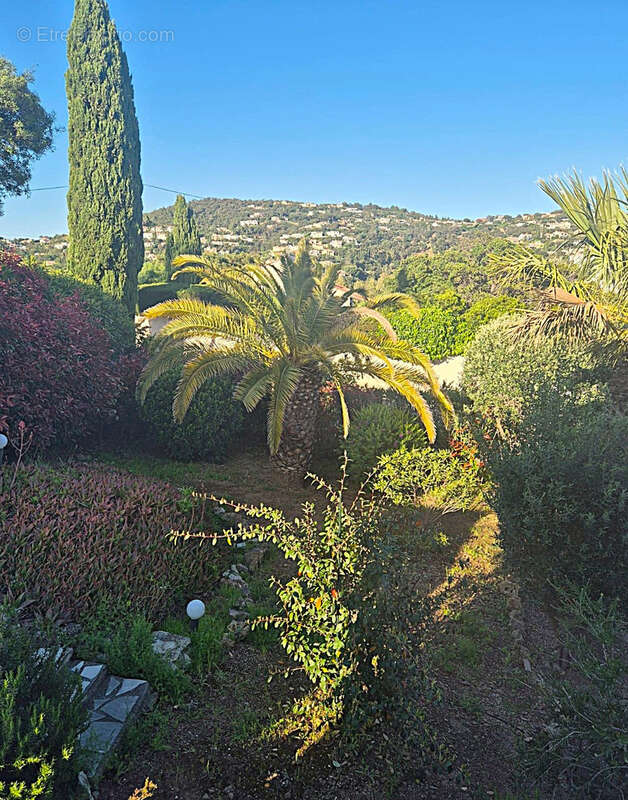 Villa avec piscine et vue sur le Golfe de Saint-Tropez ! - photo 9