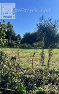 Terrain à PONT-L&#039;EVEQUE