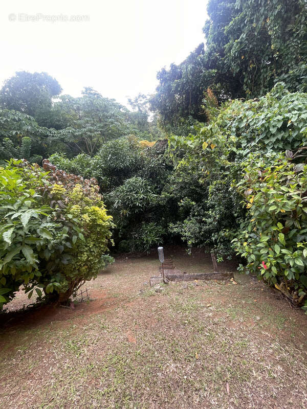 Maison à RIVIERE-SALEE