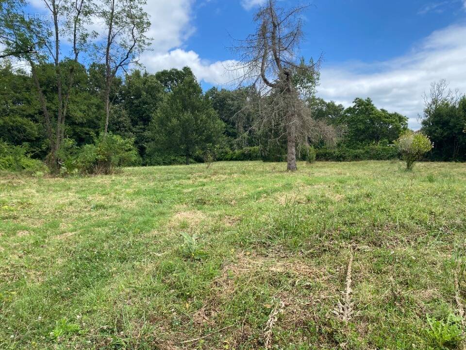 Terrain à SAINT-GERMAIN-DU-PUCH