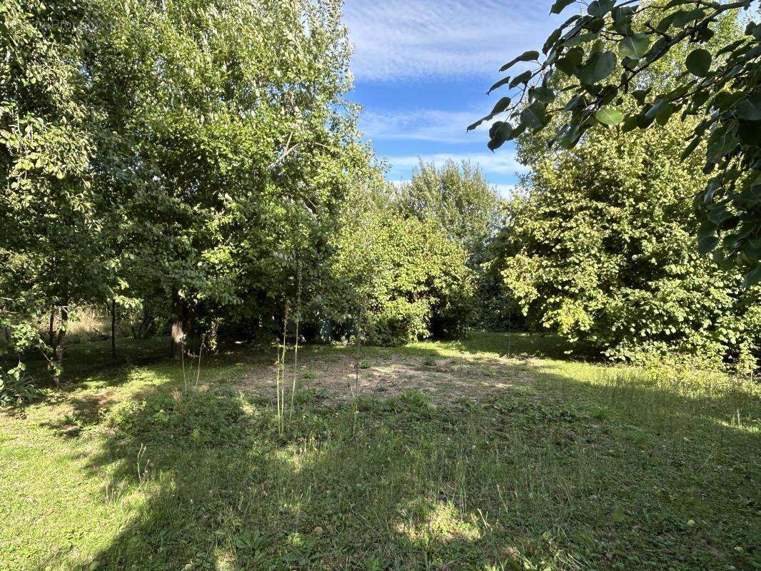 Terrain 350 m² à Vernou-La-Celle-Sur-Seine  - photo 2