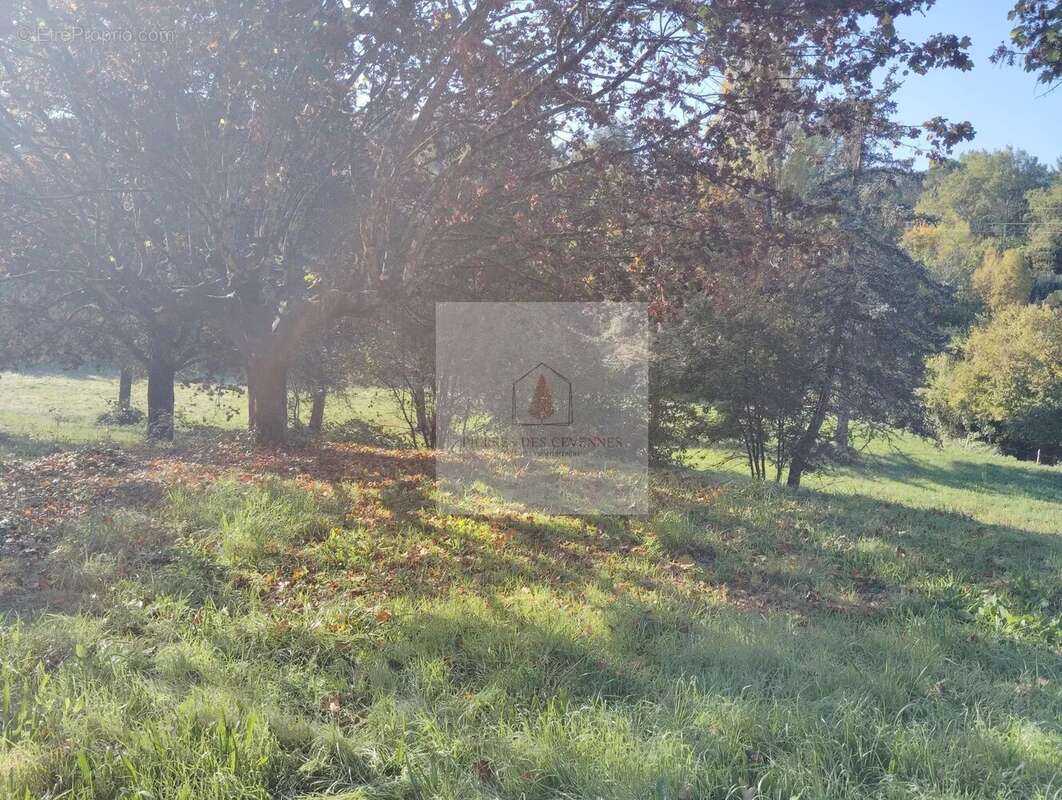 Maison à SAINT-BONNET-DE-SALENDRINQUE