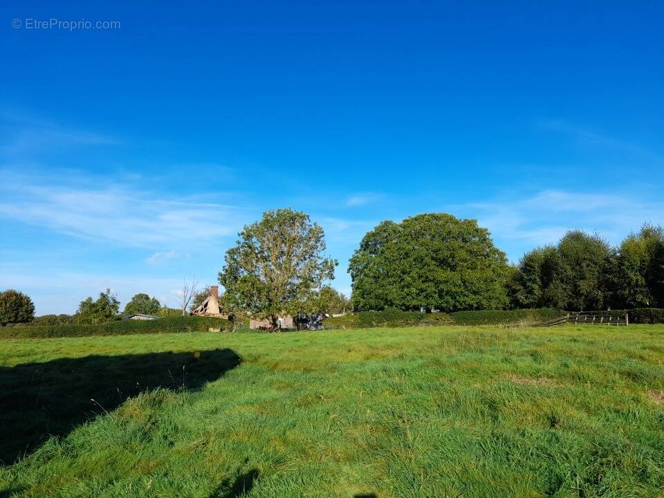 Terrain à GRENY
