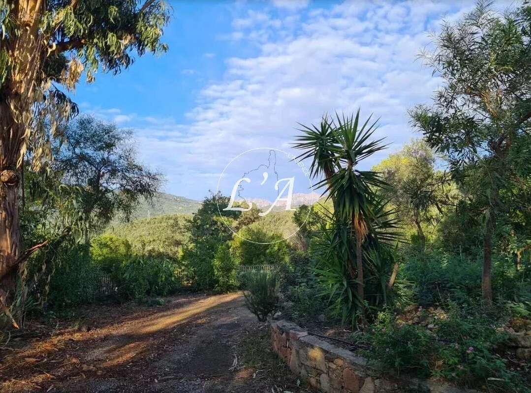 Maison à SARI-SOLENZARA